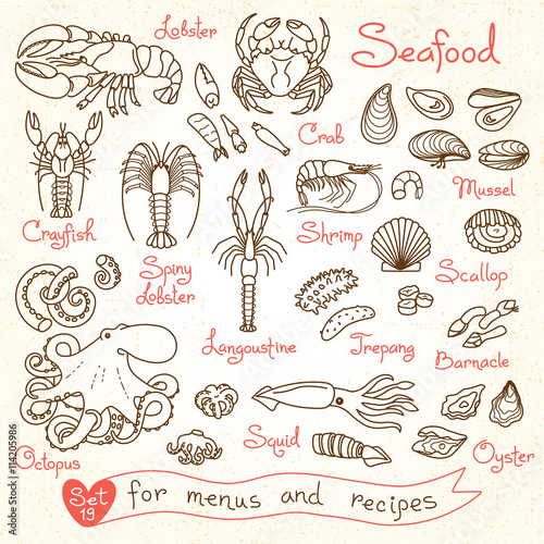 Set drawings of seafood for design menus, recipes, packaging and advertising. Shrimp, crab, mussels, squid, octopus, lobster, crayfish, , scallops, sea cucumbers, oysters, langoustine, barnacle.
