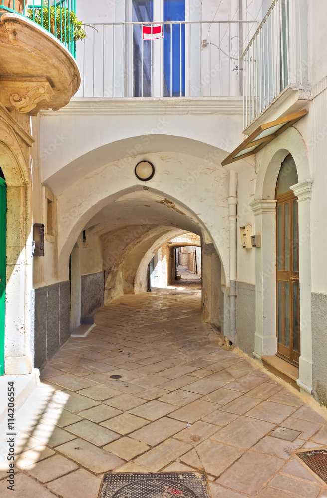 Fototapeta premium Alleyway. Turi. Puglia. Italy. 