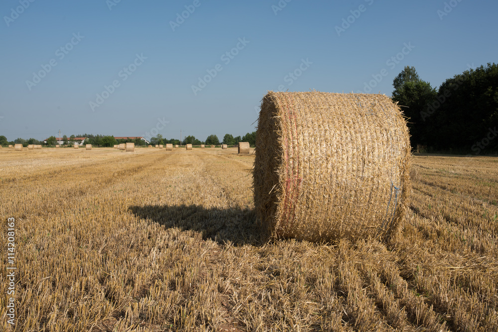 bale of hay