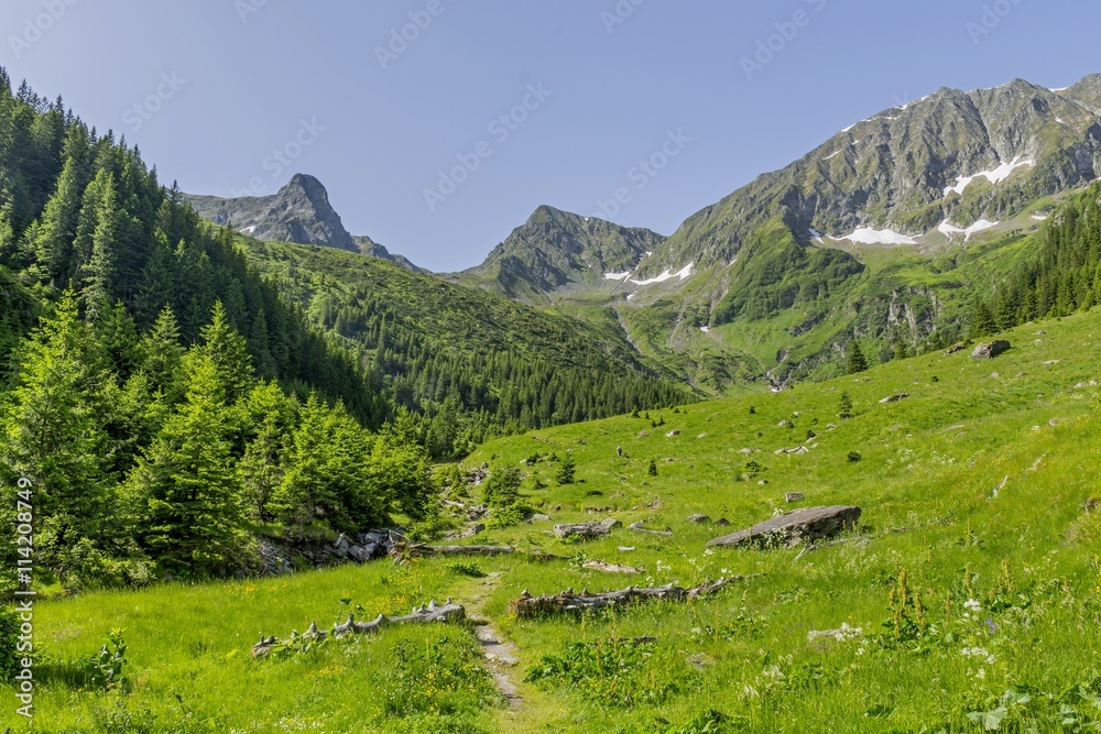  Path in Carphatian Mountains leading to summit
