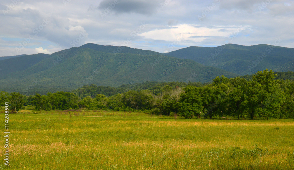 Fototapeta premium Landscape at Cades Cove in the Great Smoky Mountains