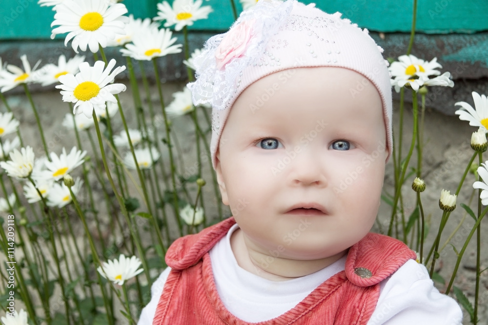 baby in the garden background of camomiles baby in the garden background of camomiles