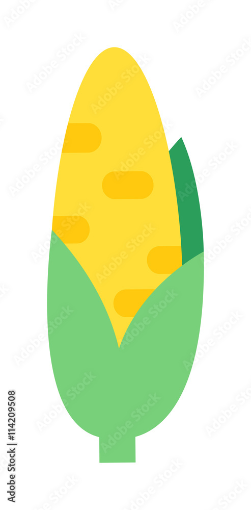 Corn cobs vector illustration. Healthy grain maize vegetable cob corn. Yellow agriculture farm ingredient corn. Nature harvest golden popcorn kernels sweet vegetarian sweet corn seed. Corn cobs vector illustration. Healthy grain maize vegetable cob corn. Yellow agriculture farm ingredient corn. Nature harvest golden popcorn kernels sweet vegetarian sweet corn seed.