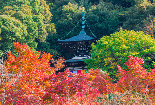 京都　永観堂の紅葉 © Route16