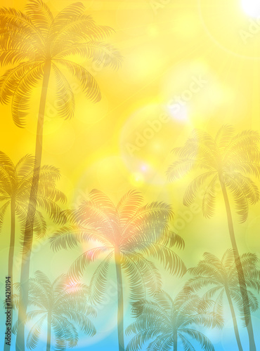 Summer background with palms and sun © losw100