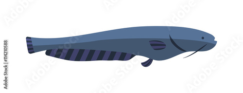 catfish vector illustration icon