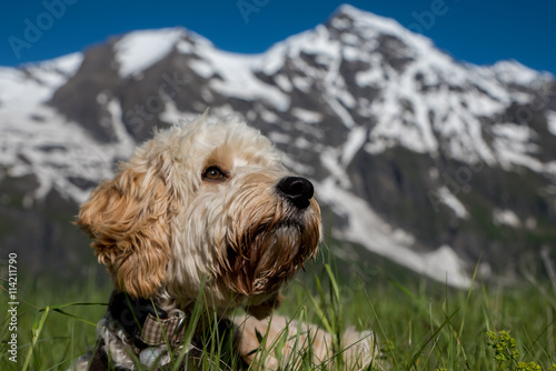 Großglockner Berg Österreich