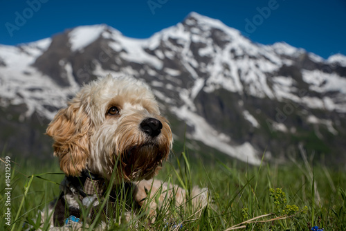 Bergmassiv Österreich