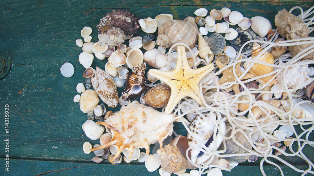 Fototapeta premium Starfish and seashell on the wooden background