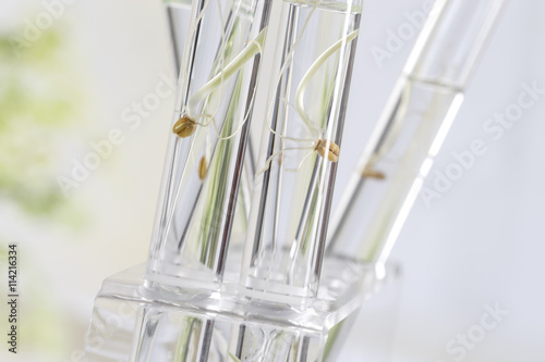 Image of biotechnology © JPC-PROD