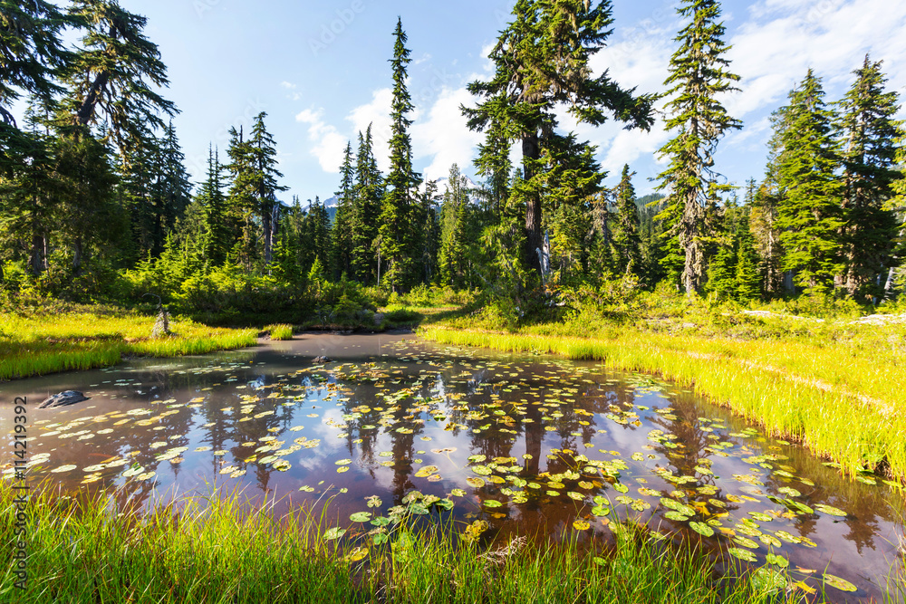 Obraz premium Mountains lake