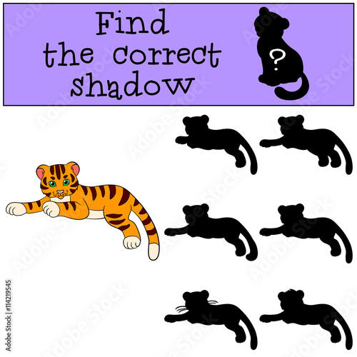 Fototapeta Naklejka Na Ścianę i Meble -  Children games: Find the correct shadow. Cute little baby tiger