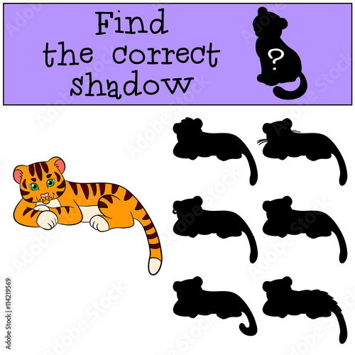 Fototapeta Naklejka Na Ścianę i Meble -  Children games: Find the correct shadow. Cute little baby tiger