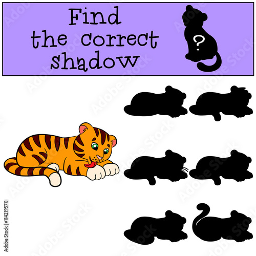 Fototapeta Naklejka Na Ścianę i Meble -  Children games: Find the correct shadow. Cute little baby tiger