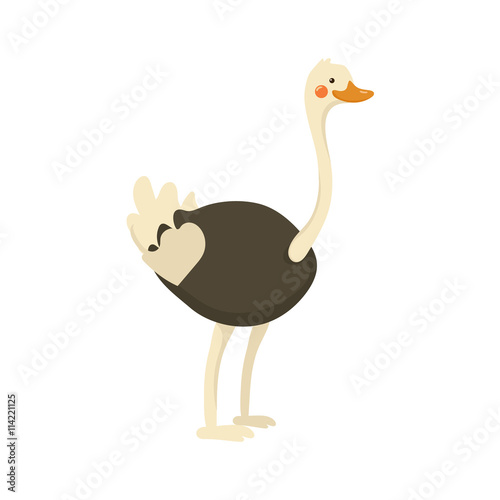 Ostrich Realistic Childish Illustration