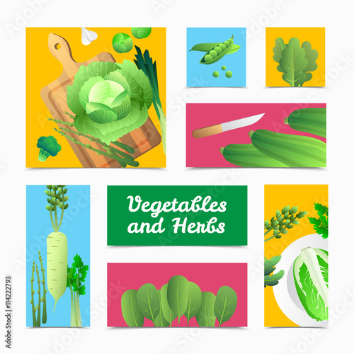 Organic Vegetables Herbs Colorful Headers Poster