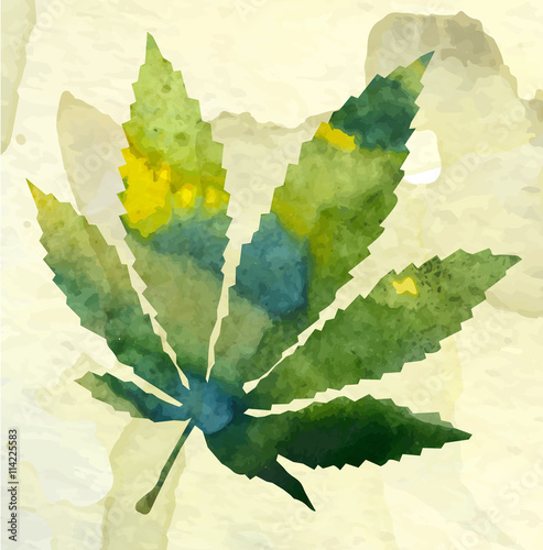 Marijuana leaf on the old watercolor paper background, vector image