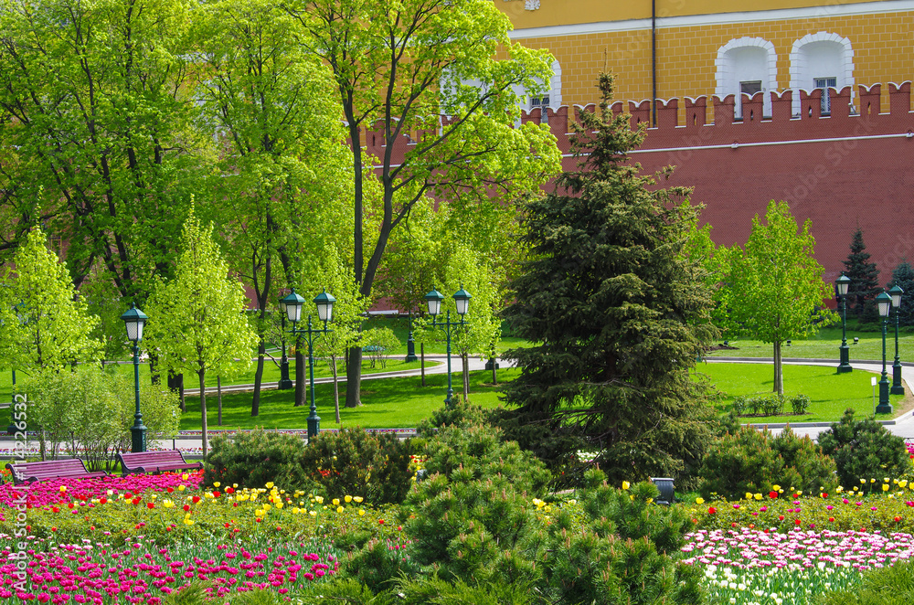 Obraz premium MOSCOW, RUSSIA - May, 2016: Alexander Garden and Moscow kremlin