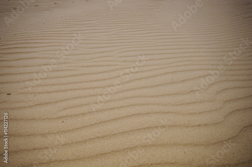 Photo of textures of sand in the desert in southern Israel