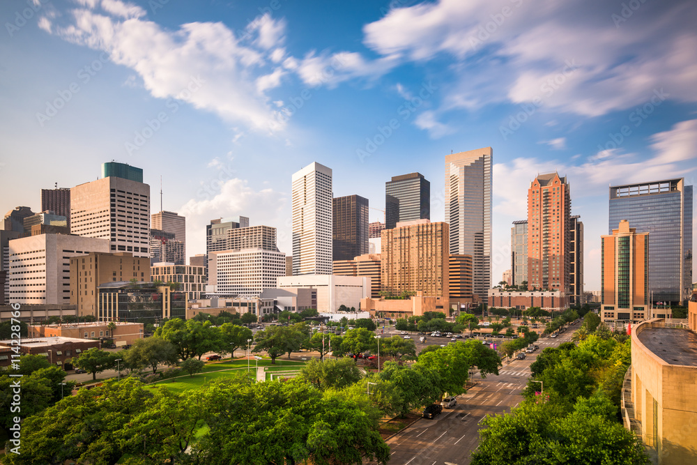 Houston Texas Skyline - obrazy, fototapety, plakaty 