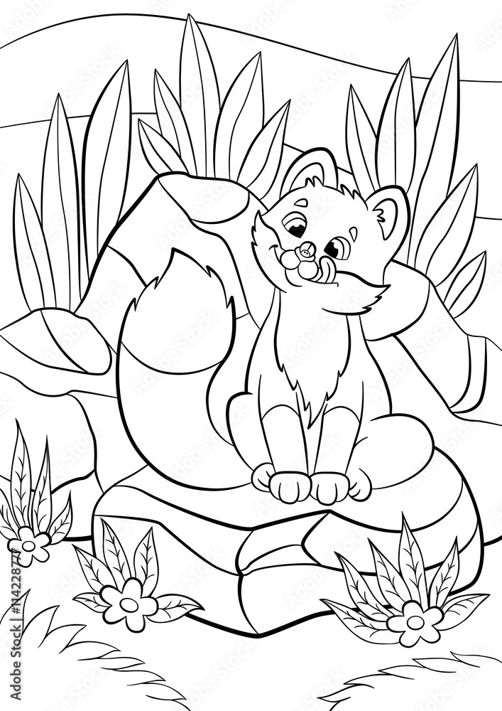 Obraz premium Coloring pages. Wild animals. Little cute baby fox