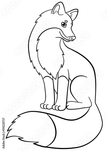 Coloring pages. Wild animals. Little cute fox smiles.