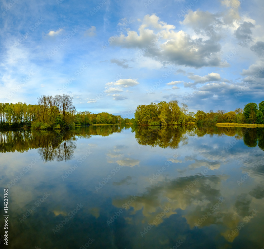 Obraz premium Lake landscape in a wood