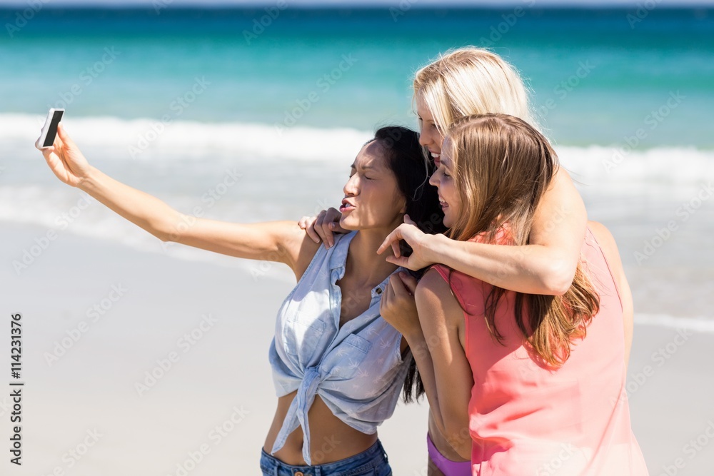 Young female friends taking selfie Young female friends taking selfie