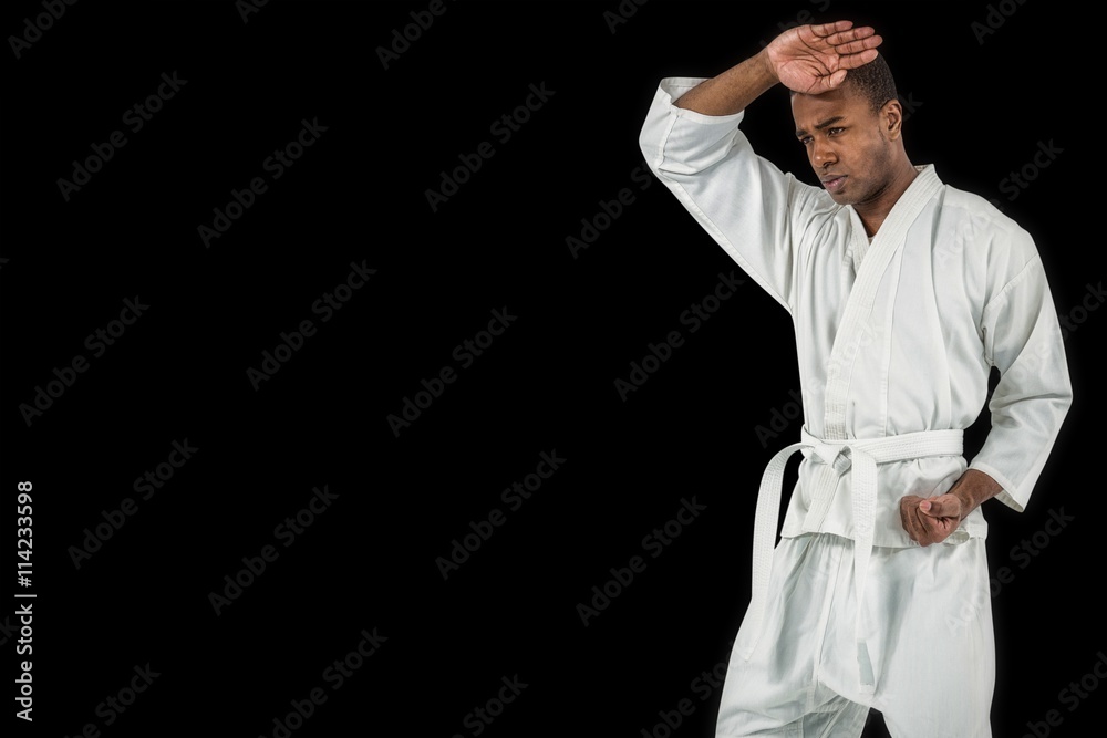 Composite image of fighter performing karate stance Composite image of fighter performing karate stance