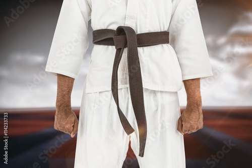 Composite image of mid section of karate player