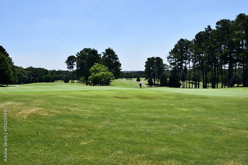 Golf course landscape