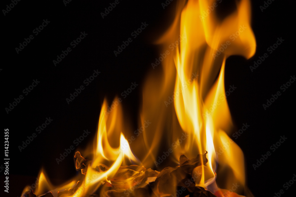 Fire background Fire background