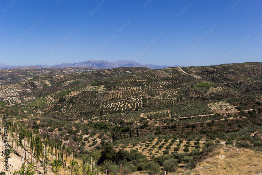 The hills on the Crete