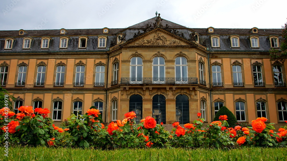Seitenflügel des Neuen Schlosses in Stuttgart mit  dekorativen Rosen im Vordergrund