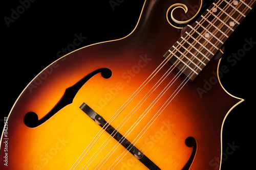 Obraz na plátně Mandolin