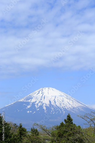 Fuji mountain in summer 