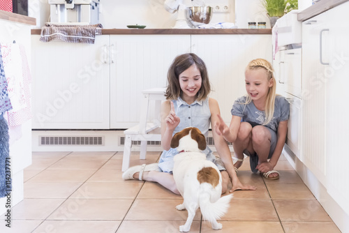 Two little girls teaching their dog in the kitchen photo