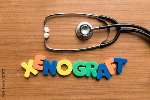 xenograft colorful word with stethoscope