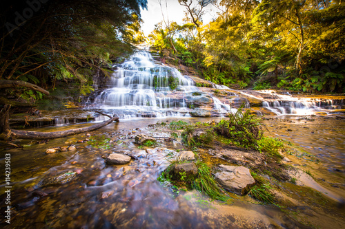 Photography Waterfall in Blue mountains national park