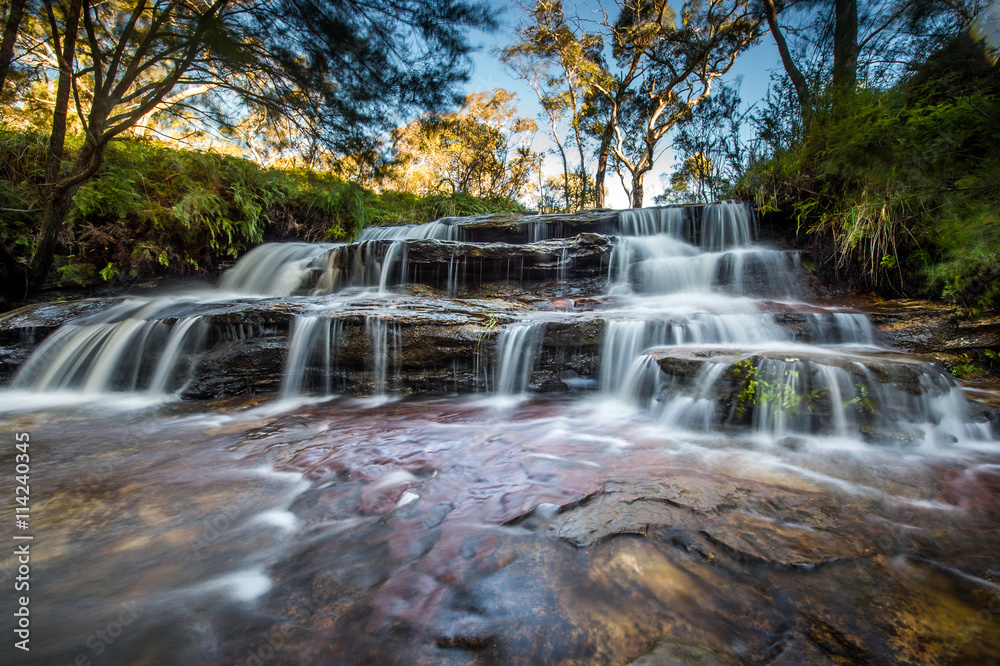 Obraz premium Waterfall in Blue mountains national park