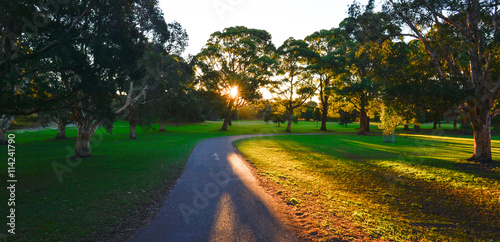 Beautiful park in Sydney.
