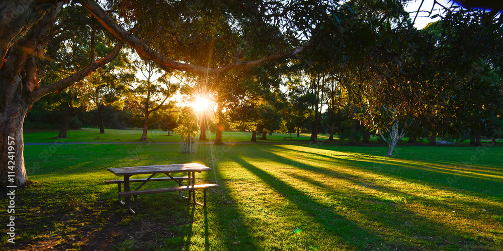 Fototapeta premium Beautiful park in Sydney.