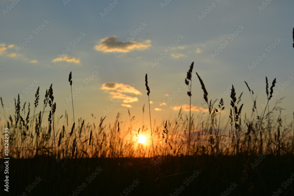 Obraz premium Летний закат