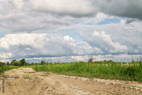 rural road and fields with dandelions in warm summer day photo