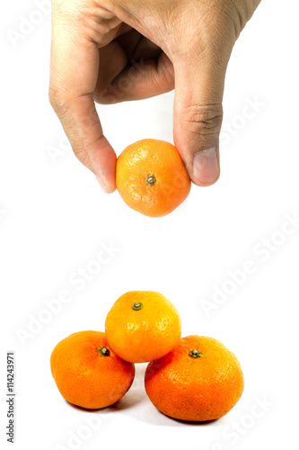 Orange picking by hand isolated on white background.