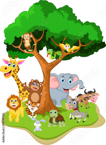 funny animal cartoon with forest background #114246783