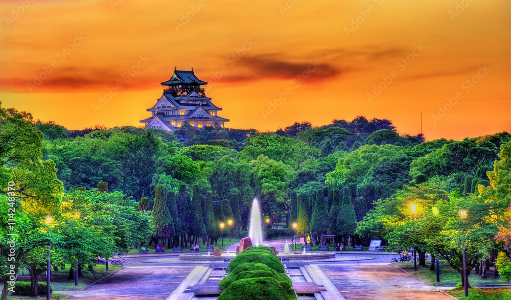Naklejka premium Widok na park zamkowy w Osace w Japonii