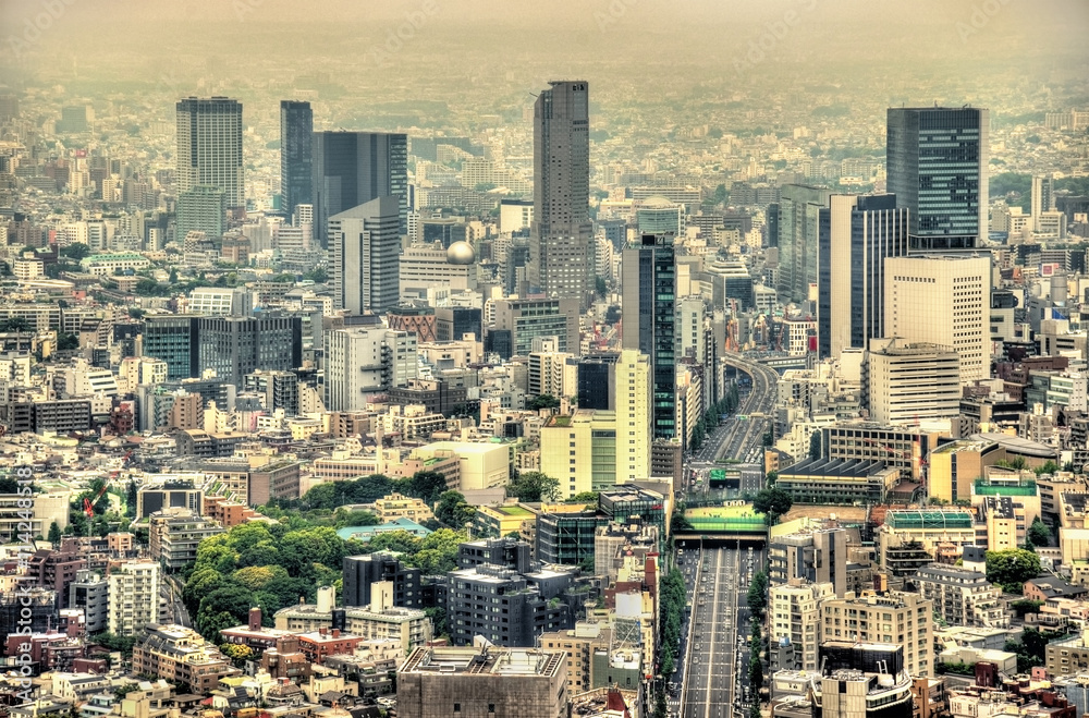 Aerial view of Tokyo