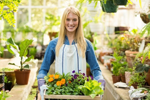 Female owner holding flowers crate at greenhouse
