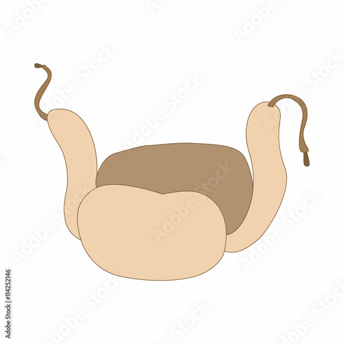 Russian fur hat earflaps icon, cartoon style